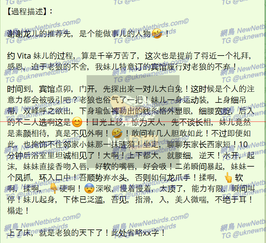 戰號 238 3.png